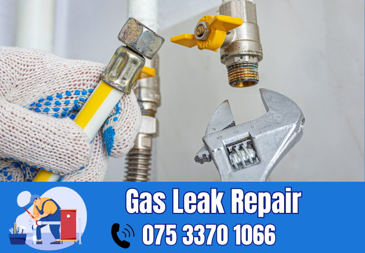 gas leak repair Sidcup