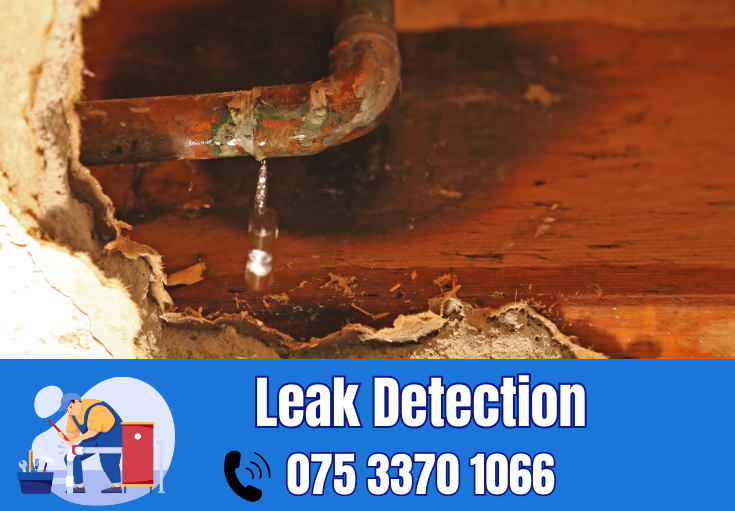 leak detection Sidcup