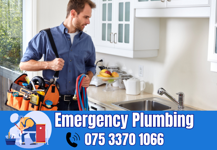 plumber Longlands