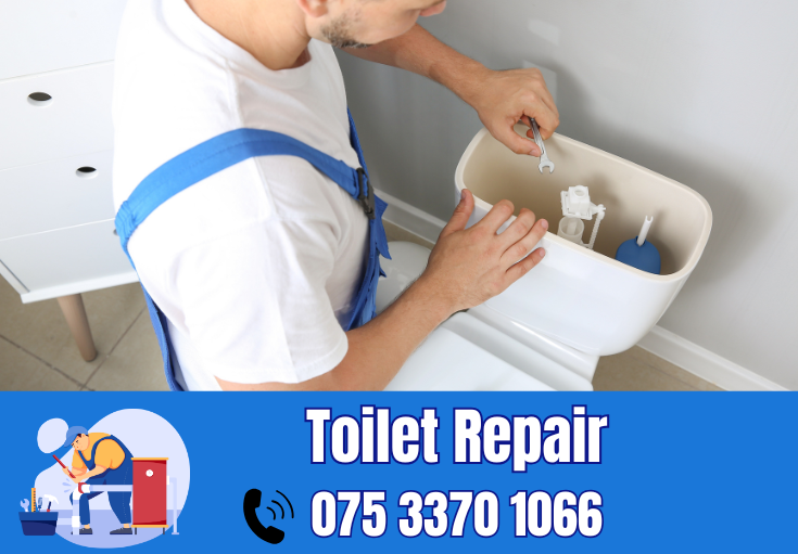 toilet repair Sidcup